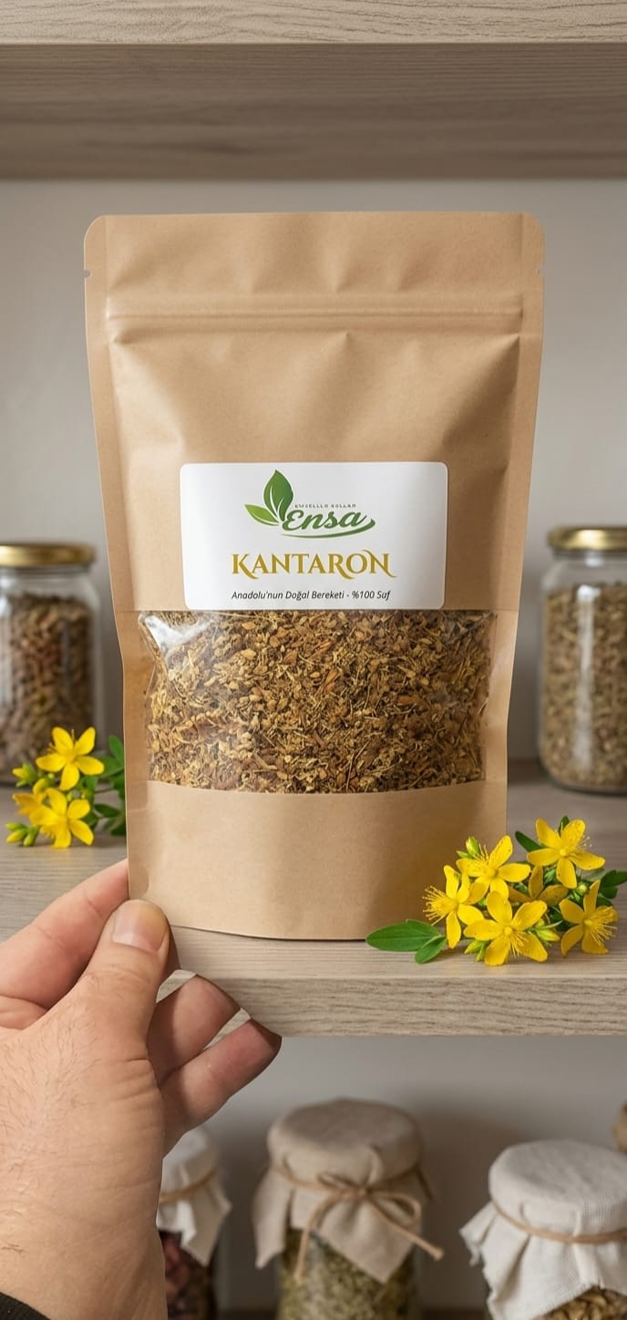 Kantaron Bitkisi